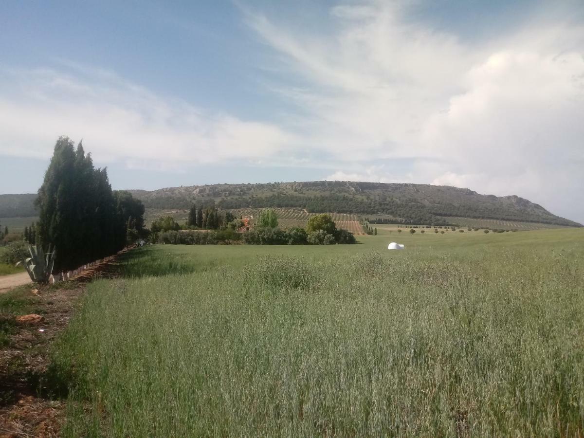 Cortijo Ferradores Humilladero Екстер'єр фото