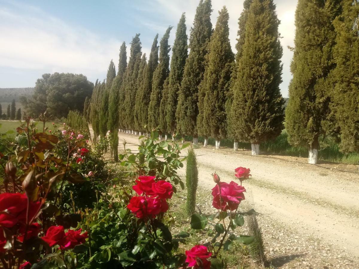 Cortijo Ferradores Humilladero Екстер'єр фото
